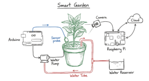 A hand-drawn real-world scenario of a smart garden project using both Arduino and Raspberry Pi.